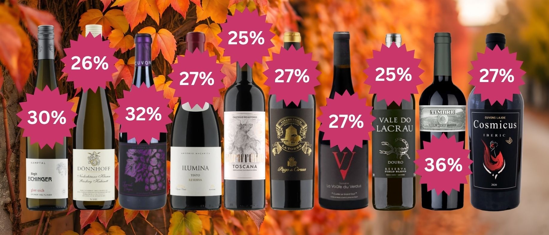 Mega Top Aktionen Wein