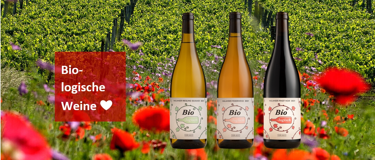 Bioweine biologische Weine Schweiz Zug Weber-Vonesch nachhaltig vegan