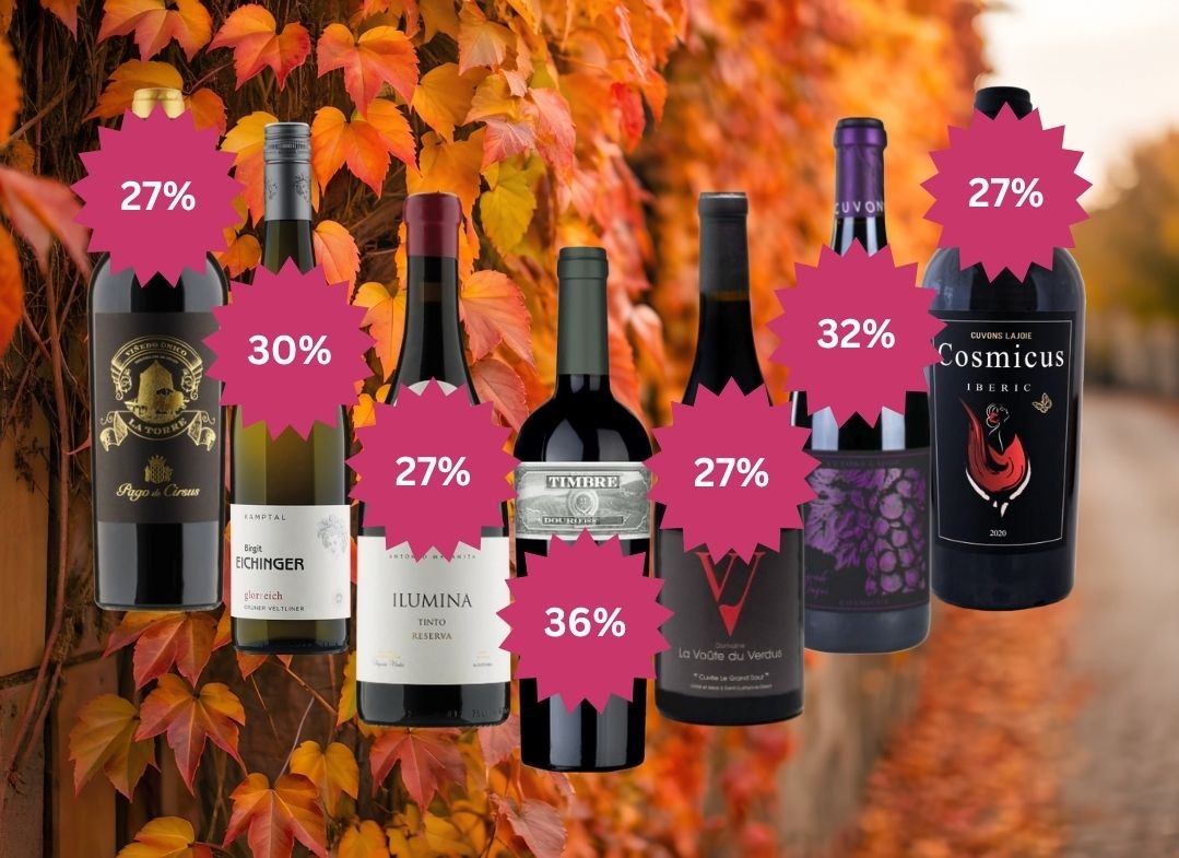 Mega Top Aktionen Wein