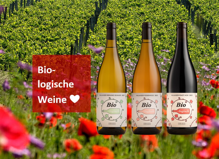 Bioweine biologische Weine Schweiz Zug Weber-Vonesch nachhaltig vegan