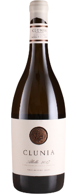 Albillo Terra Castilla y Leon
