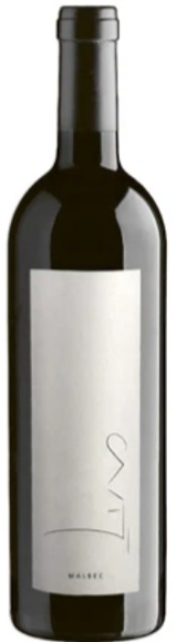 Casty Malbec Mendoza